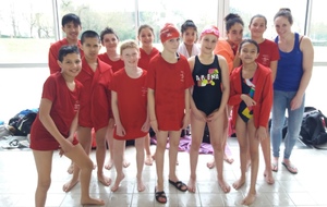 Natathlon plot 2 Avenirs et Jeunes 18 mars 2018