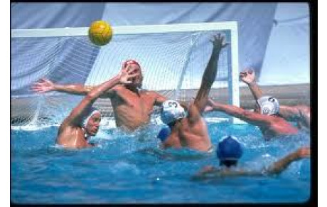 Water-Polo : matchs à domicile le samedi 15/02/14